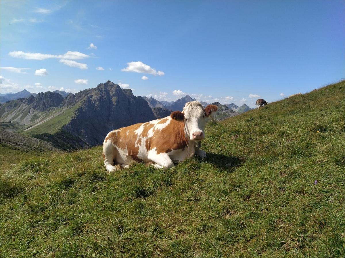 Ferienwohnung Zum Bartelt Hohenschwangau Bagian luar foto
