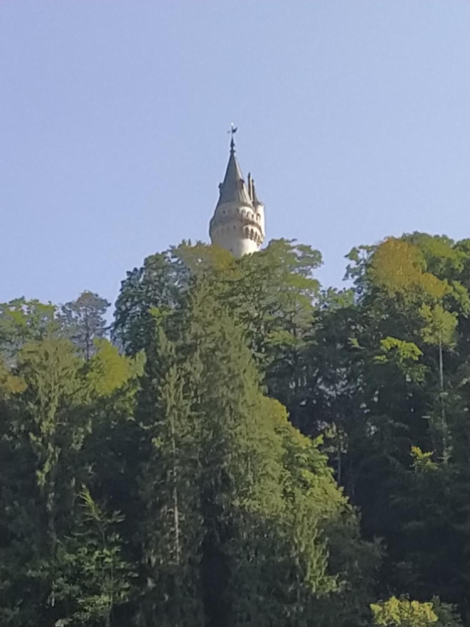 Ferienwohnung Zum Bartelt Hohenschwangau Bagian luar foto